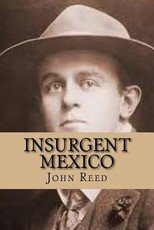 Insurgent Mexico