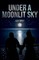Under a Moonlit Sky