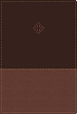 Amplified Study Bible, Imitation Leather, Brown, Indexed