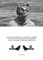 Gilles ClÃ©ment & Thierry Fontaine: Have You Ever Seen a Nomad in a Hurry?