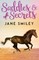 Riding Lessons: Saddles and Secrets