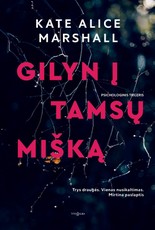 Gilyn į tamsų mišką