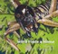 Wētā Finds a Home