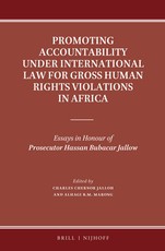 Promoting Accountability Under International Law for Gross Human Rights Violations in Africa