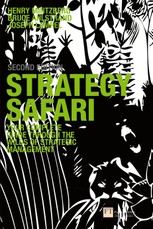 Strategy Safari