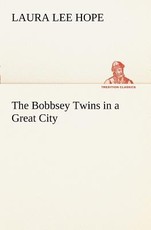 The Bobbsey Twins in a Great City