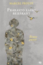 Prarasto laiko beieškant. Svano pusėje