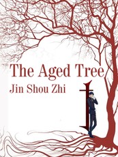 Aged Tree