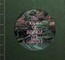 The Magic of Japanese Zen Gardens