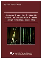 Genetic and virulence diversity of Puccinia graminis f. sp. Tritici populations in Ethiopia and stem rust resistance genes in wheat