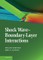 Shock Wave-Boundary-Layer Interactions