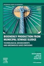 Bioenergy Production from Municipal Sewage Sludge