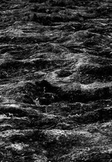 Desert Made in Chile