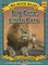 We Both Read-Big Cats, Little Cats (Pb) - Nonfiction