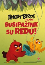 Angry Birds. Susipažink su Redu