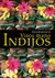 Visos mano Indijos