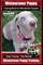Weimaraner Puppy Training Book for Weimaraner Puppies By BoneUP DOG Training