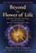 Beyond the Flower of Life