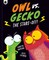 Owl Vs Gecko: The Stare-Off!
