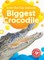 Biggest Crocodile