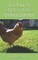 Backyard Chicken Basics