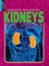 Kidneys