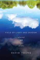 Field of Light and Shadow