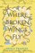 Where Broken Wings Fly