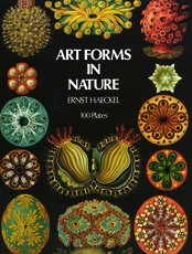 Art Forms in Nature