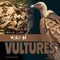 Wake of Vultures