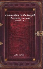 Commentary on the Gospel According to John