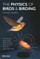 The Physics of Birds and Birding
