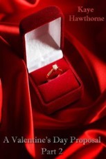 Valentine's Day Proposal Part 2