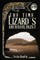 The Time Lizard's Archaeologist