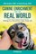 Canine Enrichment for the Real World