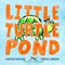 Little Turtle Pond