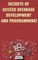 Secrets of Access Database Development and Programming!