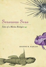 Sensuous Seas