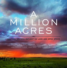A Million Acres