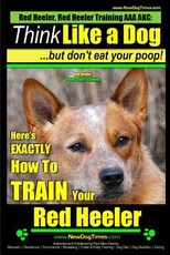 Red Heeler, Red Heeler Training AAA AKC