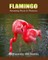 Flamingo: Amazing Facts & Pictures