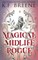 Magical Midlife Rogue