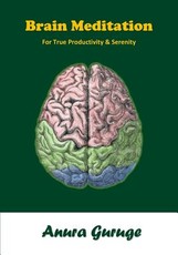 Brain Meditation