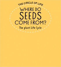 Where Do Seeds Come From? The Plant Life Cycle