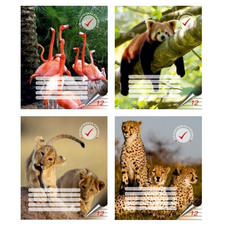 Sąsiuvinis TALSU 12l. 80g linija