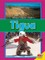 Tigua