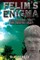 Felim's Enigma