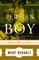 The Persian Boy