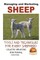 Managing and Marketing Sheep - Tools and Techniques for Every Shepherd