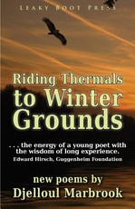 Riding Thermals to Winter Grounds